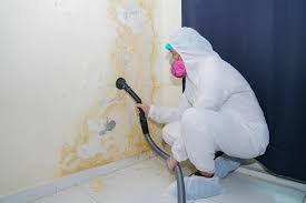 Best Comprehensive Air Testing for Mold Contaminants  in Clear Lake, WI